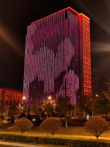 威海綠軸中央商務區(qu)亮化工程(cheng)